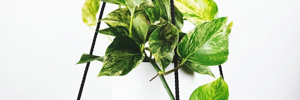 体育新闻图片 - 梅西在巴黎圣日耳曼训练中的特写